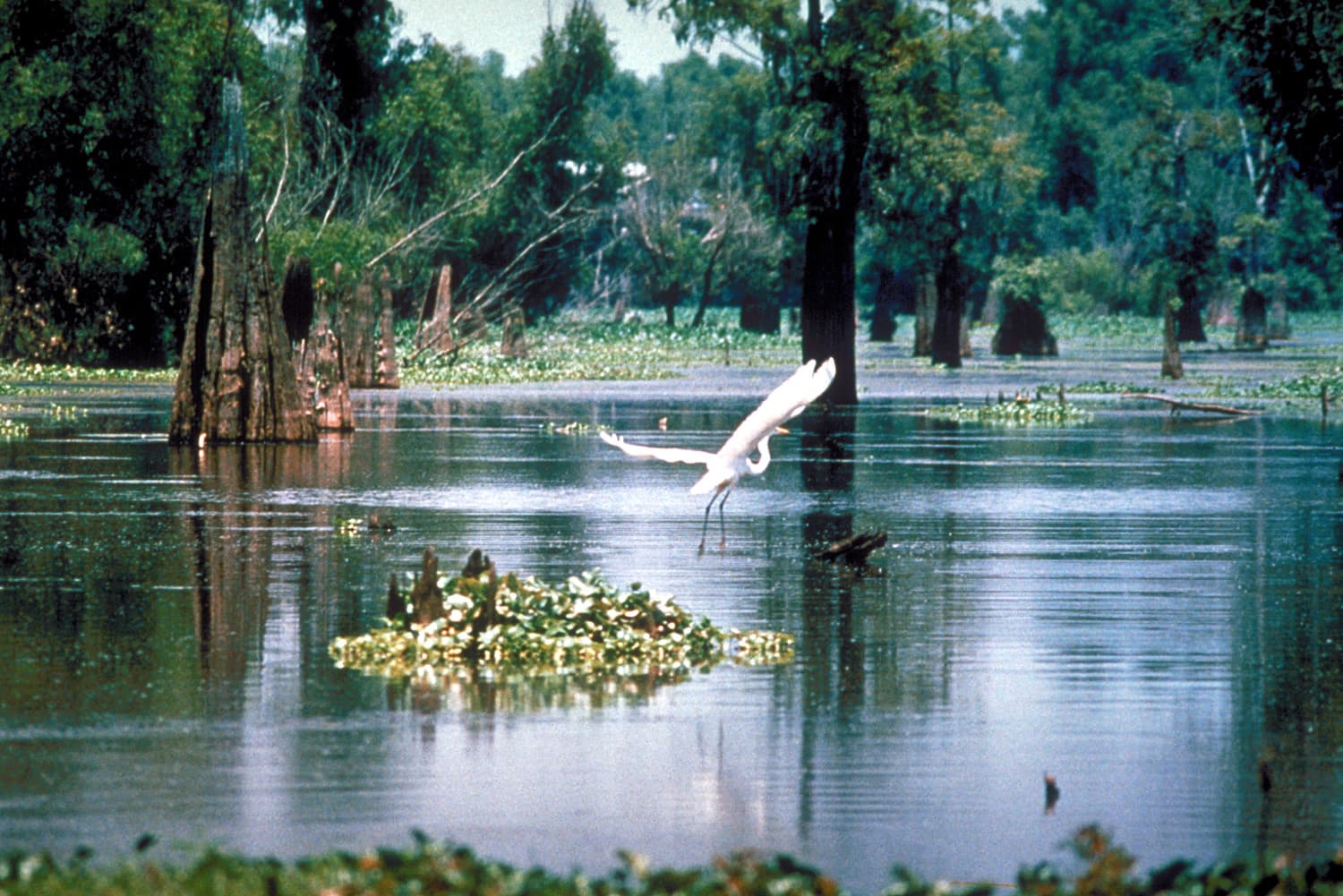 Buško Lake (Buško Blato)