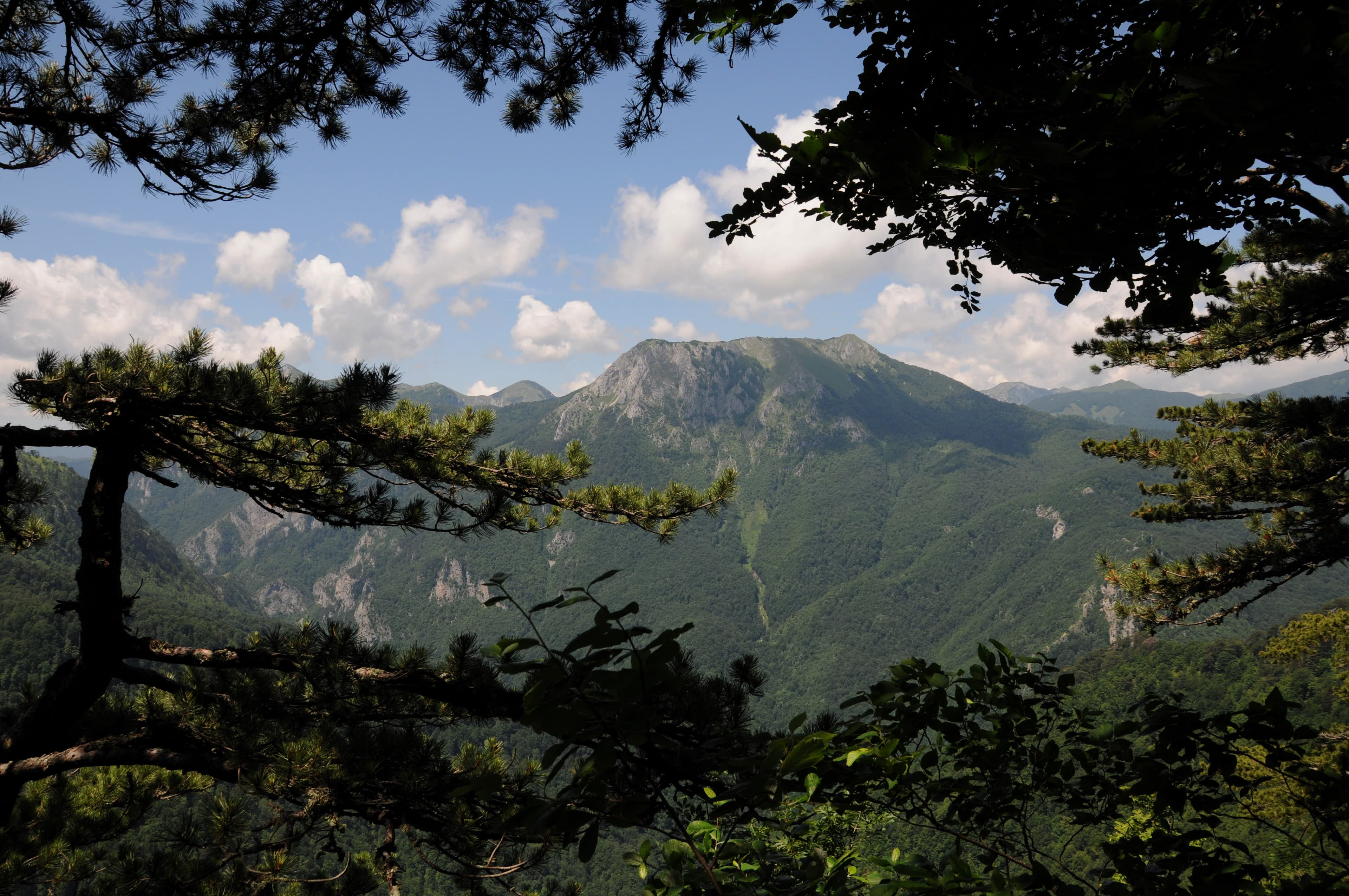 Sutjeska Mountain Huts (Orlovačko/Prijevor)
