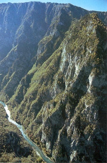 Foča Rafting Camps (Tara/Drina)
